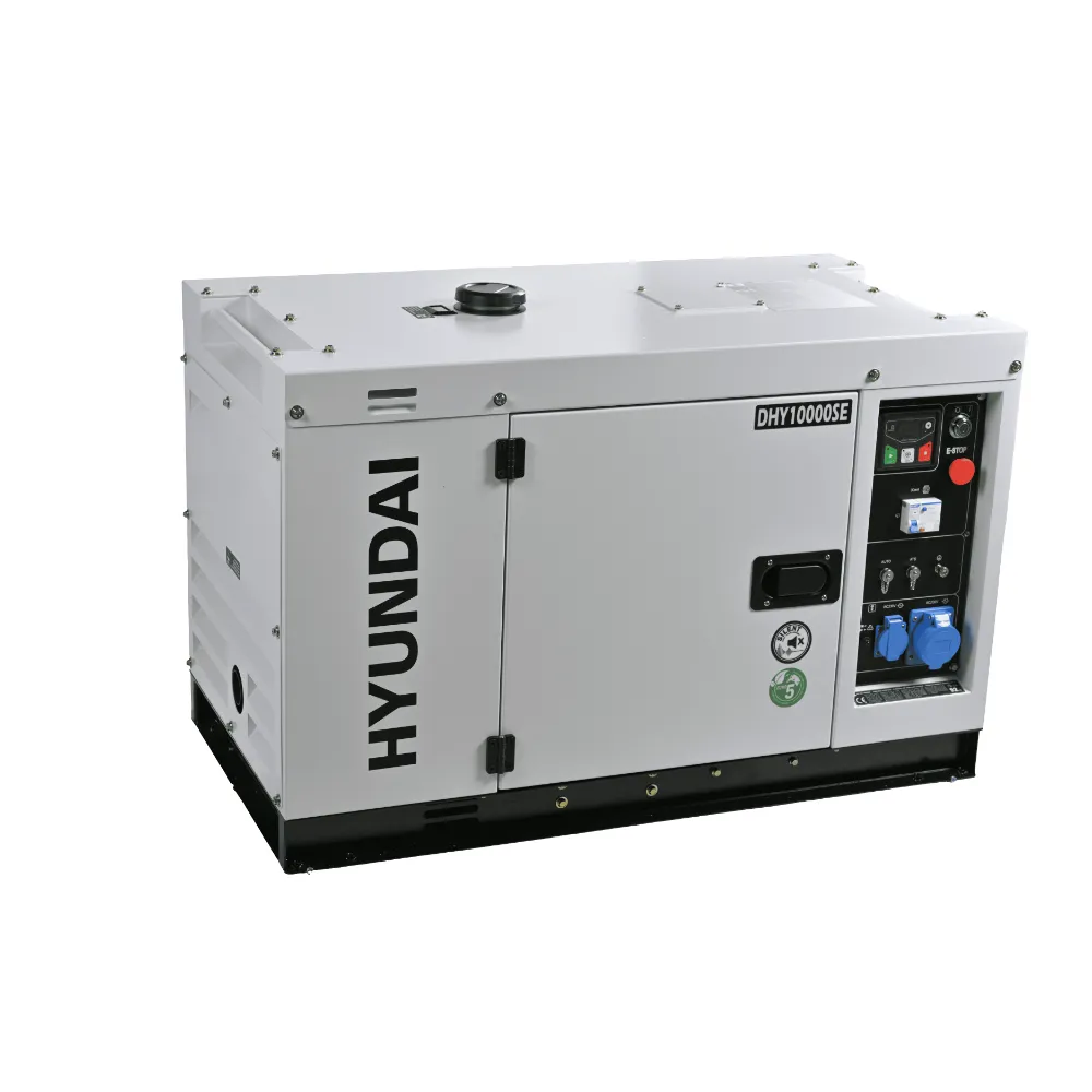 DHY10000SE (2).webp