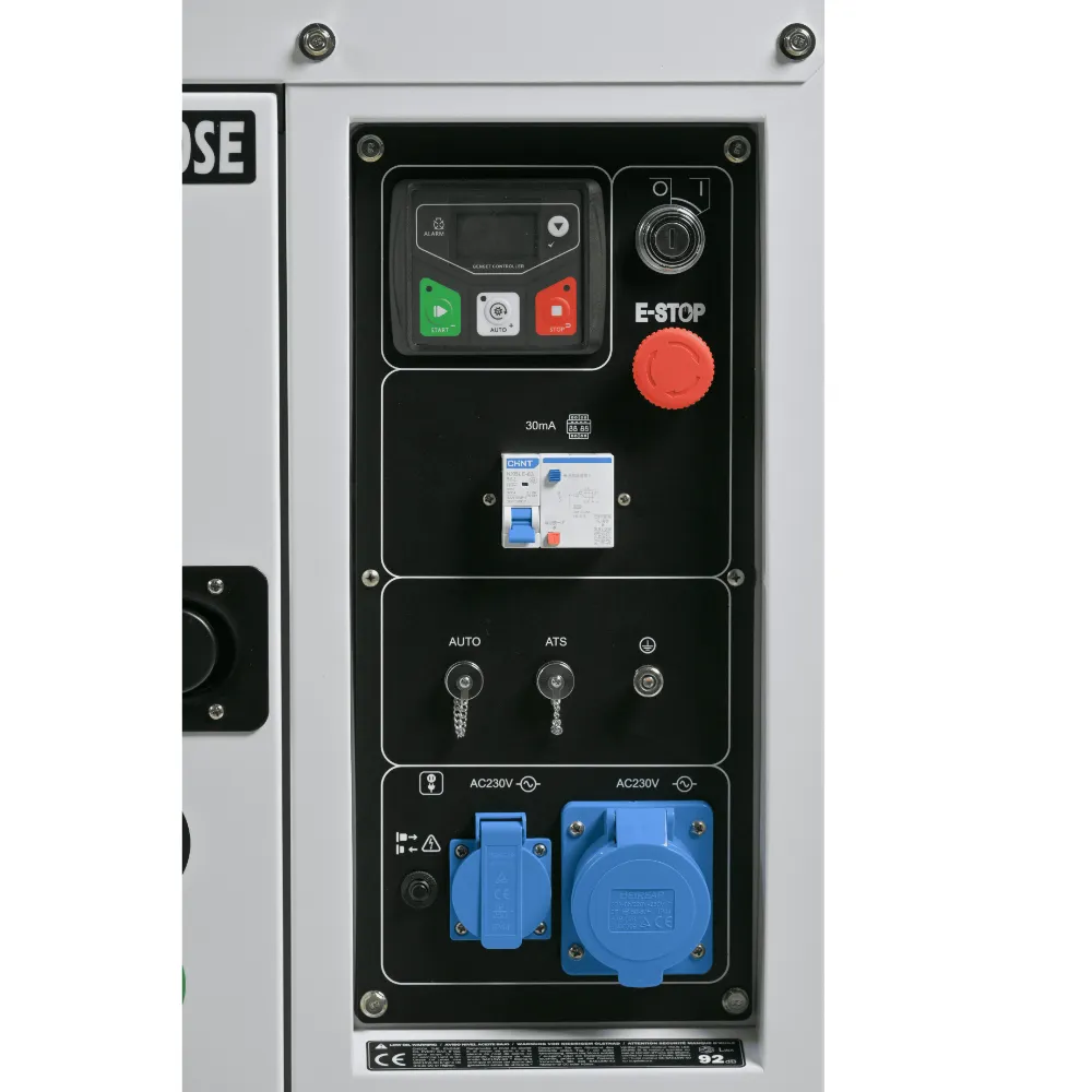 DHY10000SE (6).webp