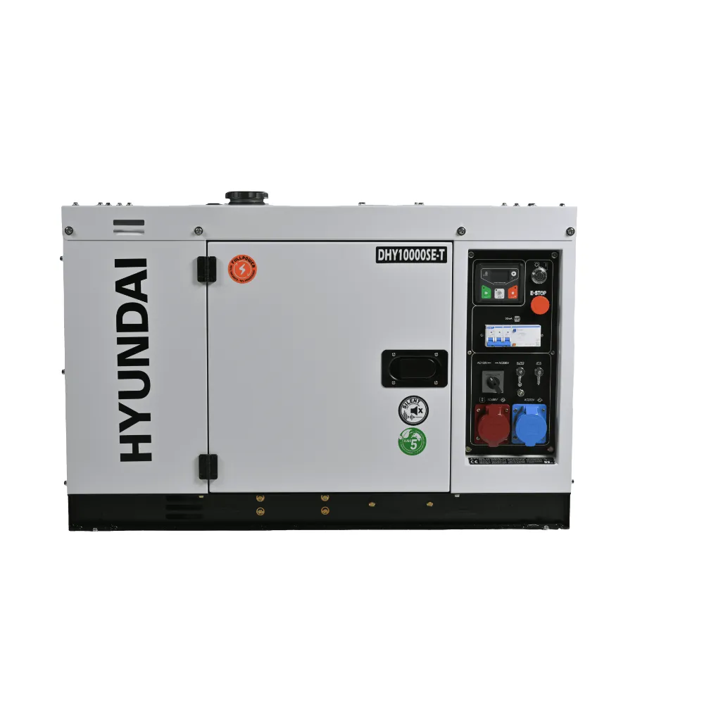 DHY10000SE-T (5).webp